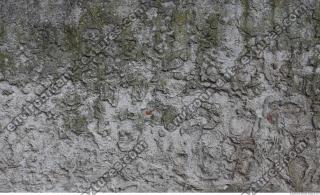 photo texture of wall stucco dirty